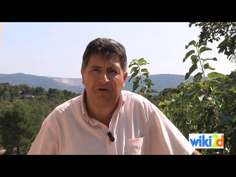 Alain Belviso, Président de la Communauté d'Agglomération