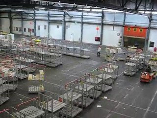 Aalsmeer : vie du marché aux fleurs 10