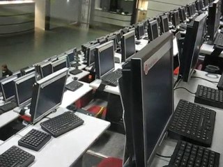 Aalsmeer : vie du marché aux fleurs 11