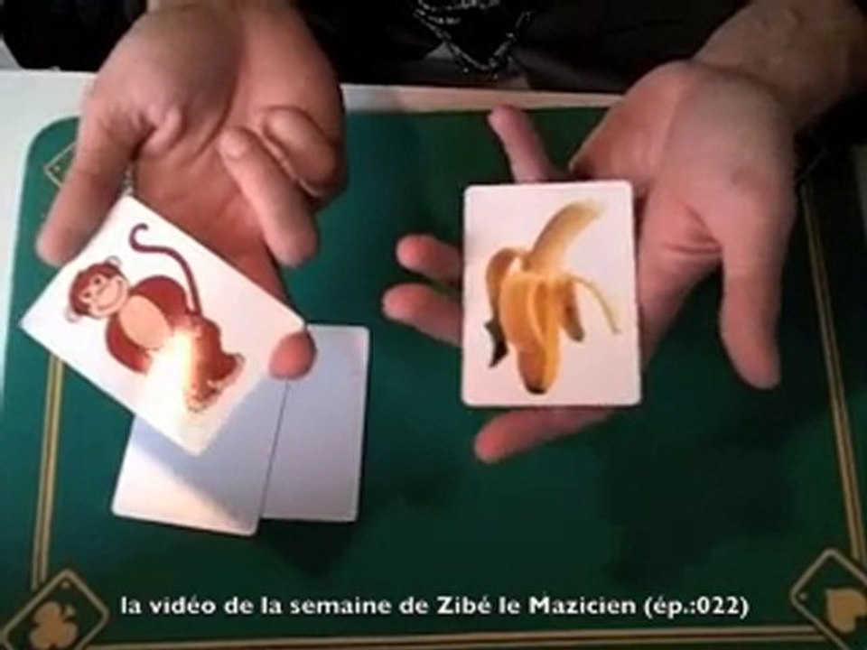 022 zibé tour  enfant singes magicien la ciotat