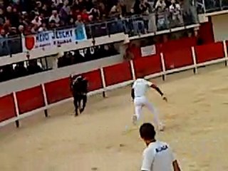 Bayador le 3 octobre Grau du Roi