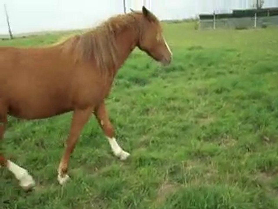 Petit déplacement d'Ucky ^^