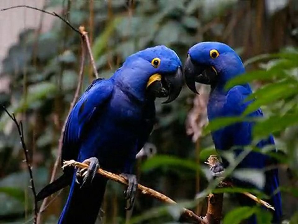 WONDERFUL PHOTOS, SUPER MUSIC