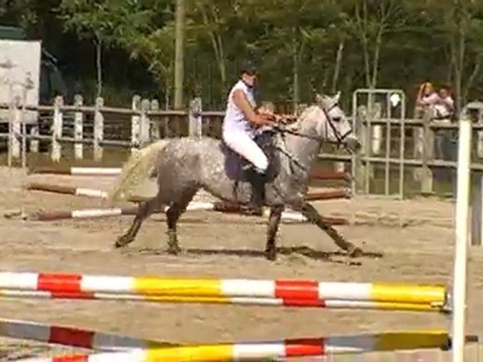 3/10/10 CSO Mornay Siobhan du Gayon 1e concours