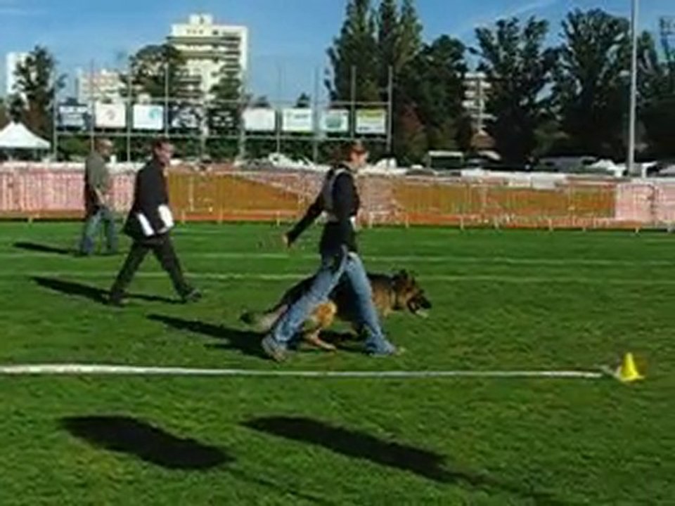 Benn à Vichy nationale d'élevage 2010 (1)