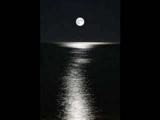 Erdem BirgüL- "Korkak Erkek"