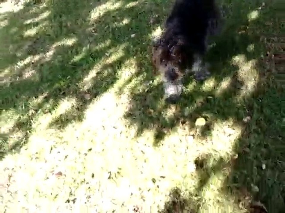 MOV01636