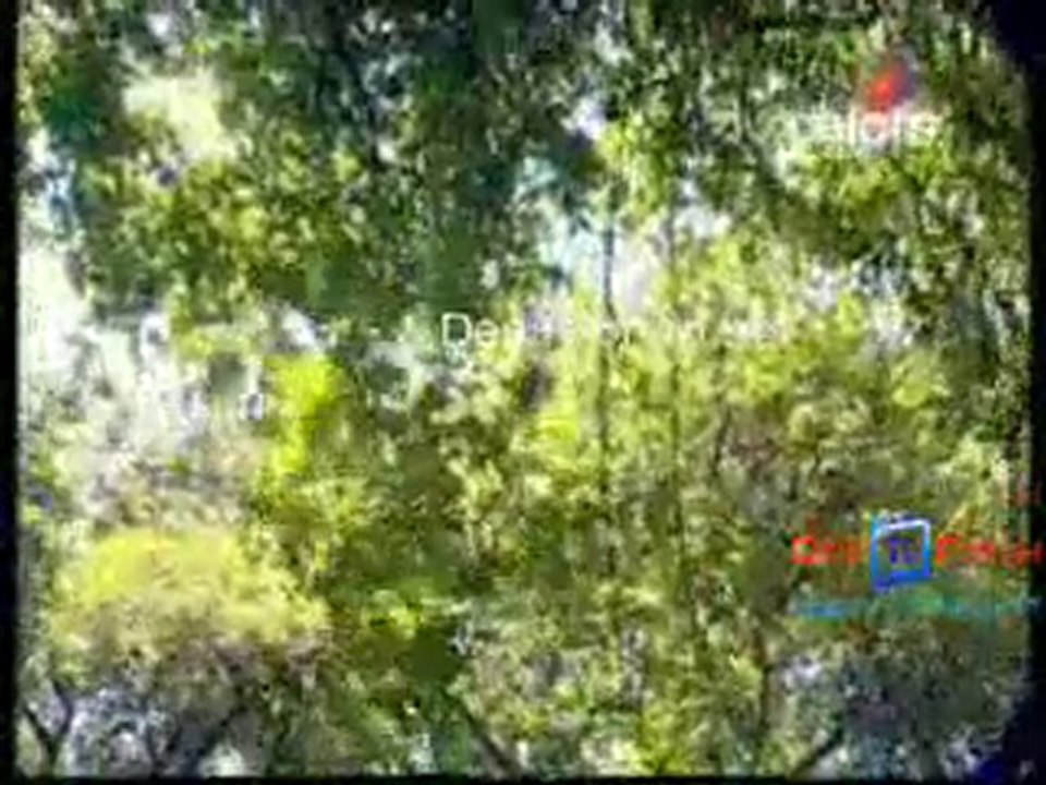 Bhagya Vidhaata - 4th October 2010 pt3