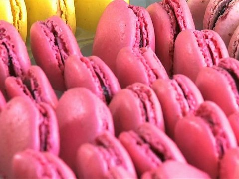 Maison Regel, votre artisan chocolatier - pâtissier