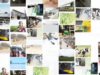 Cultures Agri - Présentation du jeu