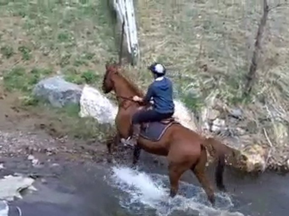 Trail riding and crossing water