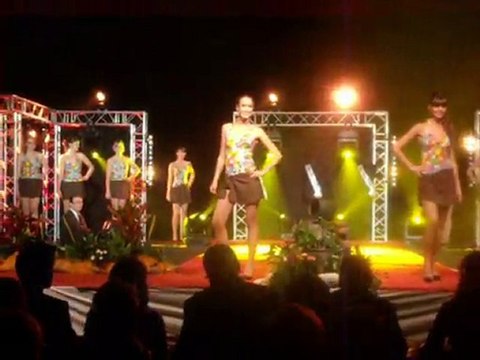 ELECTION MISS OISE 2010 COMITE GENEVIEVE DE FONTENAY