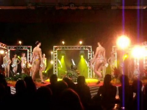 ELECTION MISS OISE 2010 COMITE GENEVIEVE DE FONTENAY