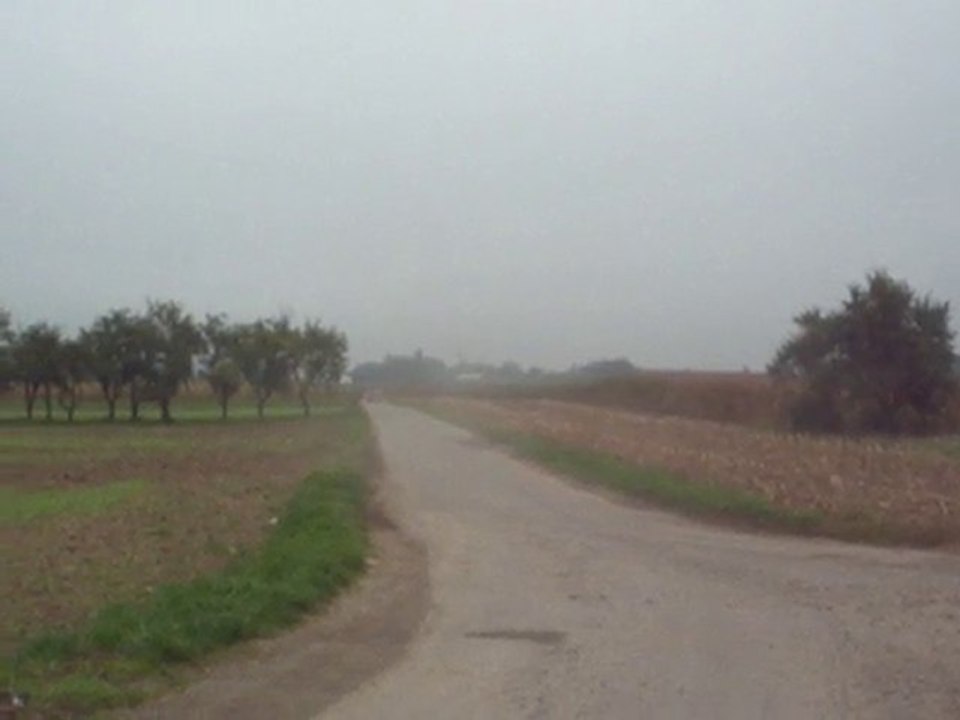 Ford WRC Hirvonen à dorlisheim