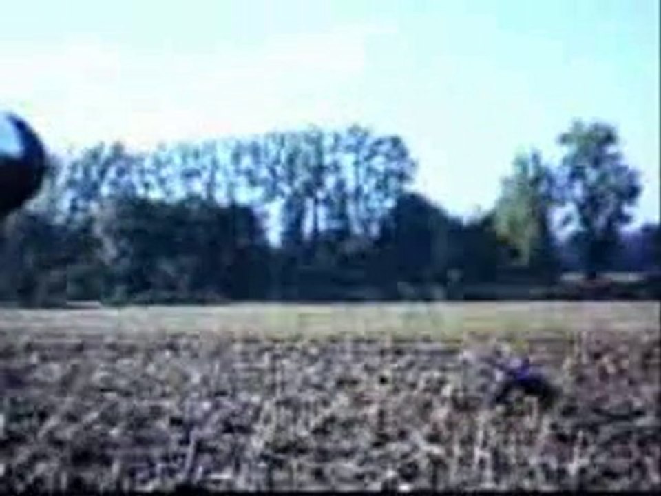 CHASSE AUX LIEVRE