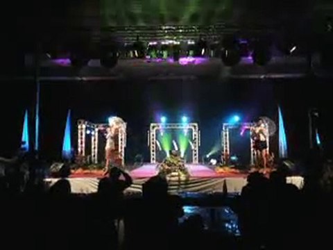 ELECTION MISS OISE 2010 COMITE GENEVIEVE DE FONTENAY