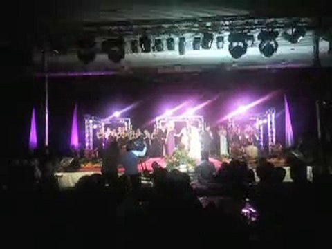 ELECTION MISS OISE 2010 COMITE GENEVIEVE DE FONTENAY