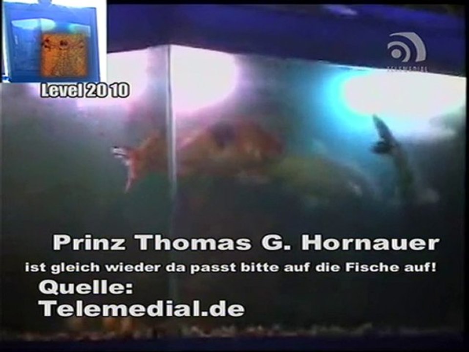 Kanal Telemedial - Shark Tale 02 - April 23, 2010