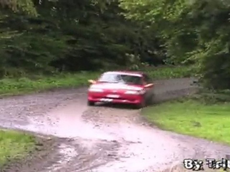 bs trefle 2010 106 rallye