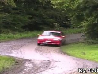 bs trefle 2010 106 rallye