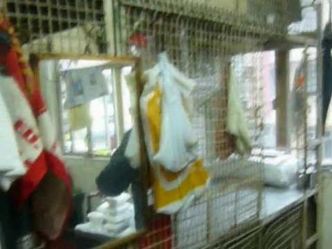 Sur les docks: Hong-Kong