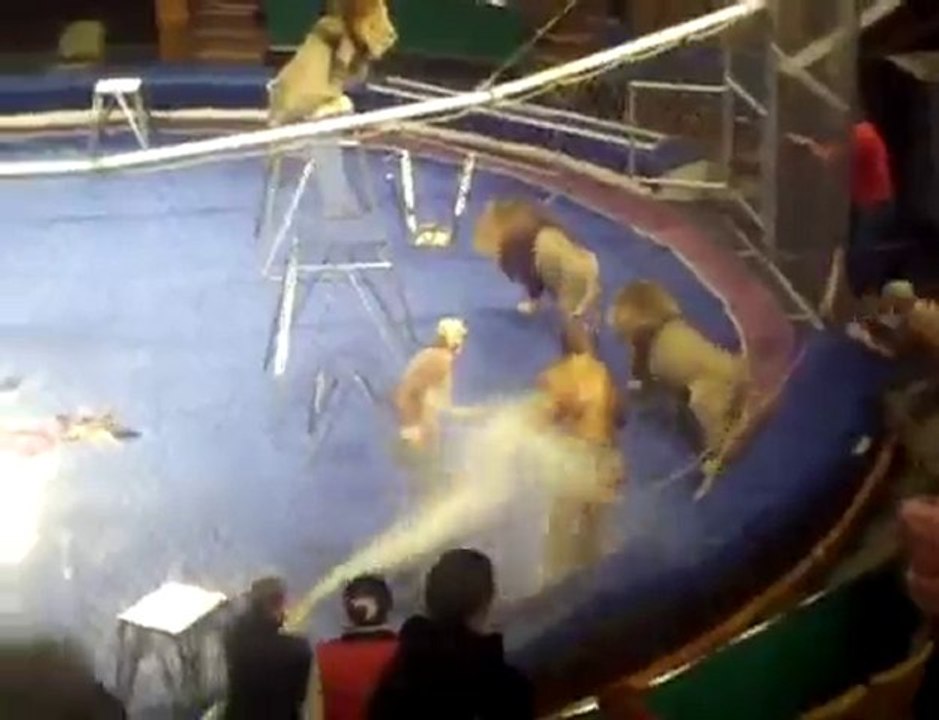 Circus Lion Attack Caught on Tape
