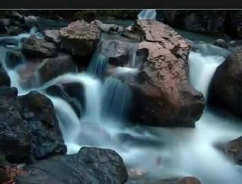 Farid Farjad - keman dinletisi