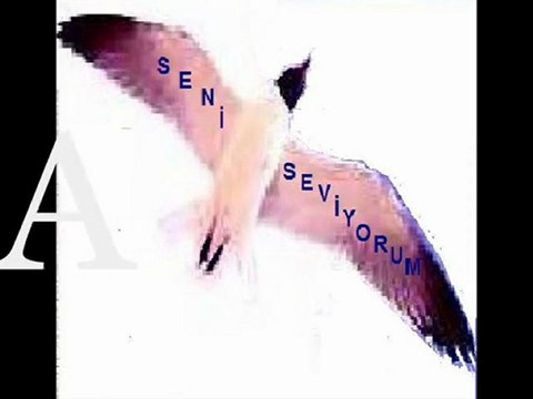 ''Bozcaada-Hotel Fahri'' Dilruba Nuray ERENLER şiiri sunumu.