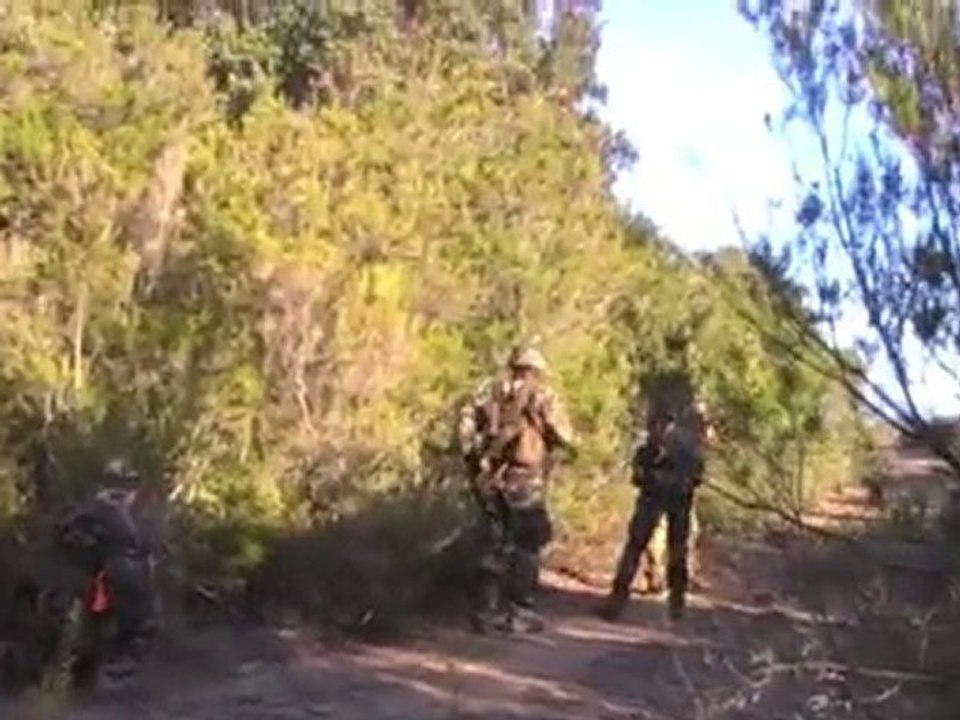 Accros Coti Chiavari