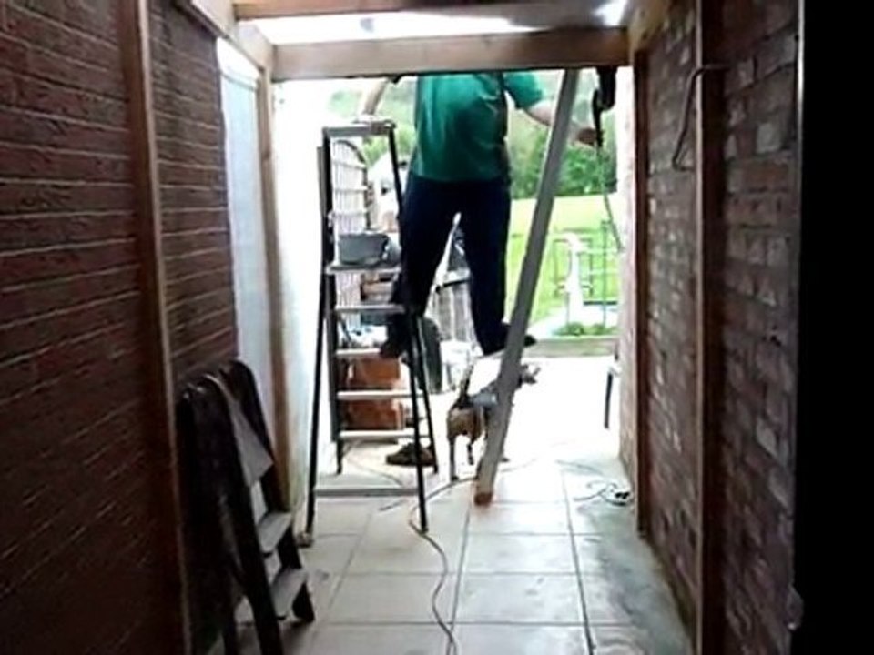 que fait mon beagle pendant les travaux