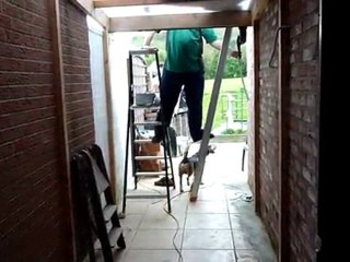 que fait mon beagle pendant les travaux