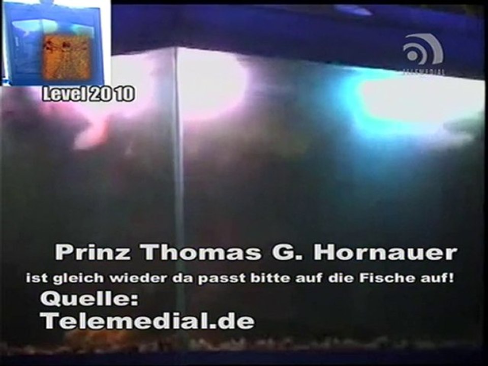 Kanal Telemedial - Shark Tale 03 - April 23, 2010