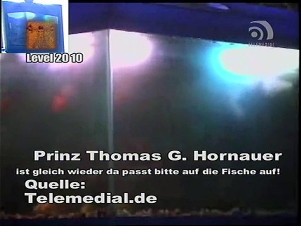 Kanal Telemedial - Shark Tale 04 - April 23, 2010