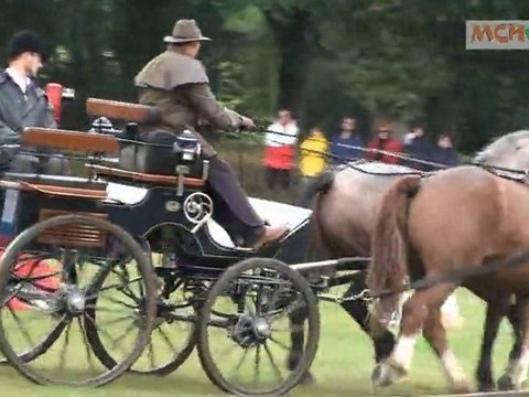 Cheval de trait Breton, attelage