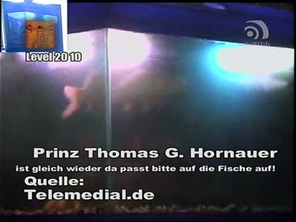 Kanal Telemedial - Shark Tale 05 - April 23, 2010