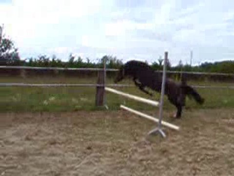 Uriel de Marie - Saut en liberté 2