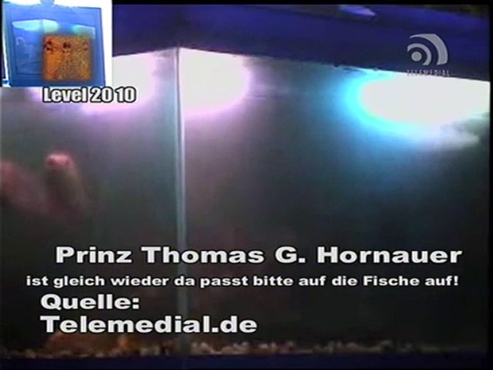 Kanal Telemedial - Shark Tale 08 - April 23, 2010
