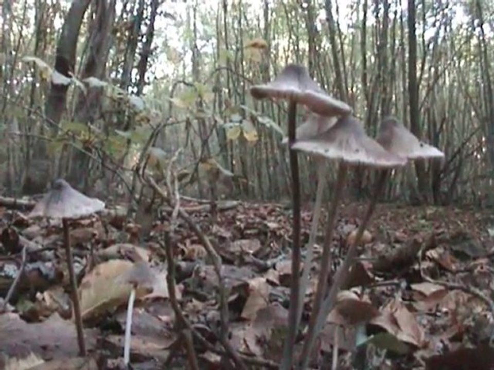 Le matin du dimanche 3 octobre 2010