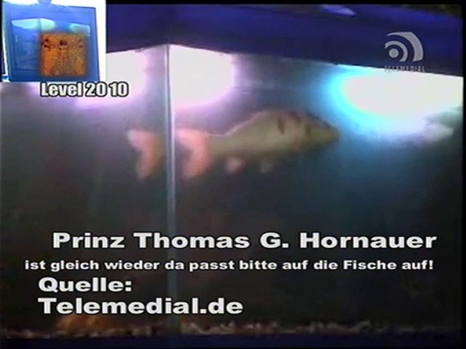 Kanal Telemedial - Shark Tale 10 - April 23, 2010