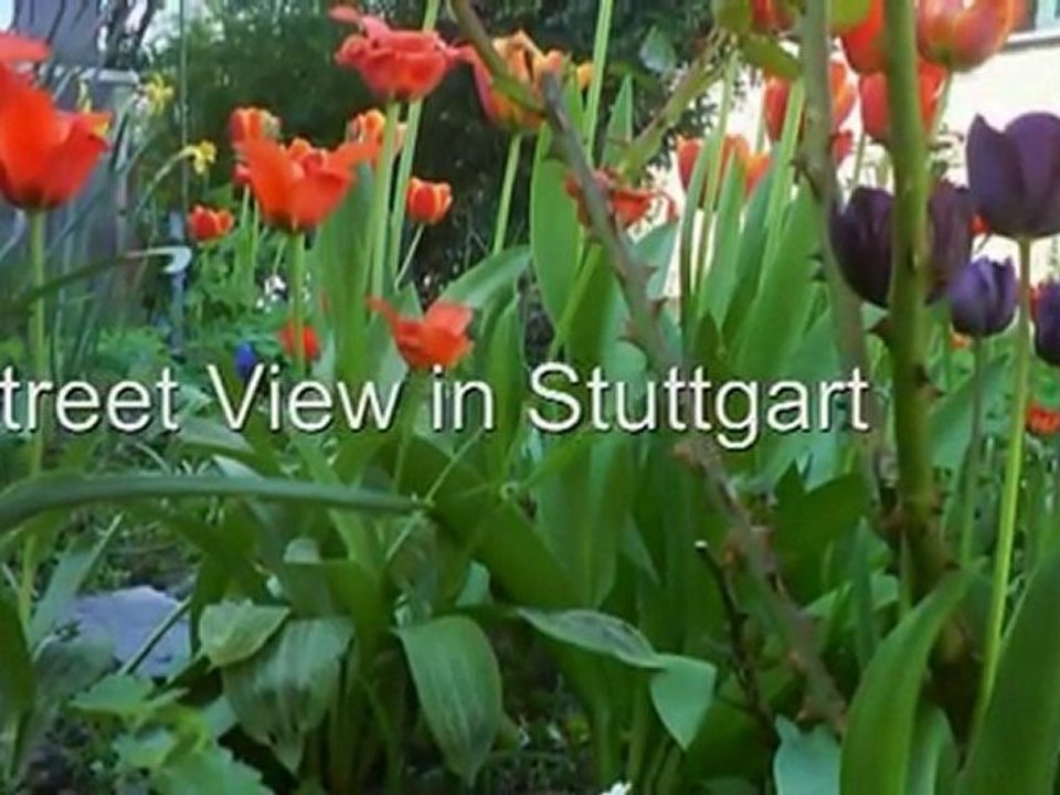Stuttgart-TVplaneta