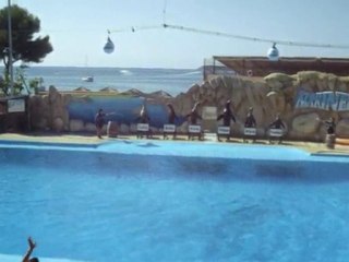 voyage de la jeunesse 2010 2