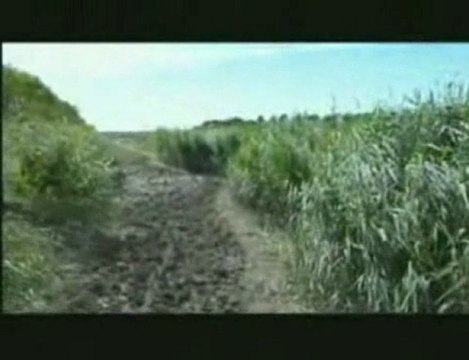 le Crotoy-le fond de la baie de Somme.AVI