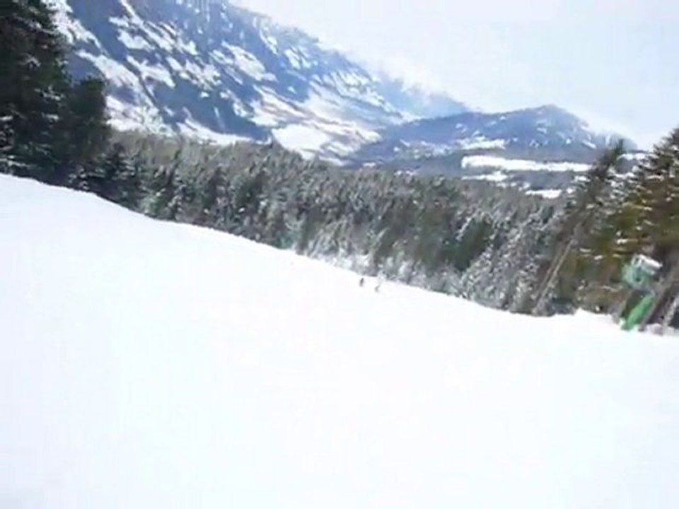 Autriche 2009 Zillertal