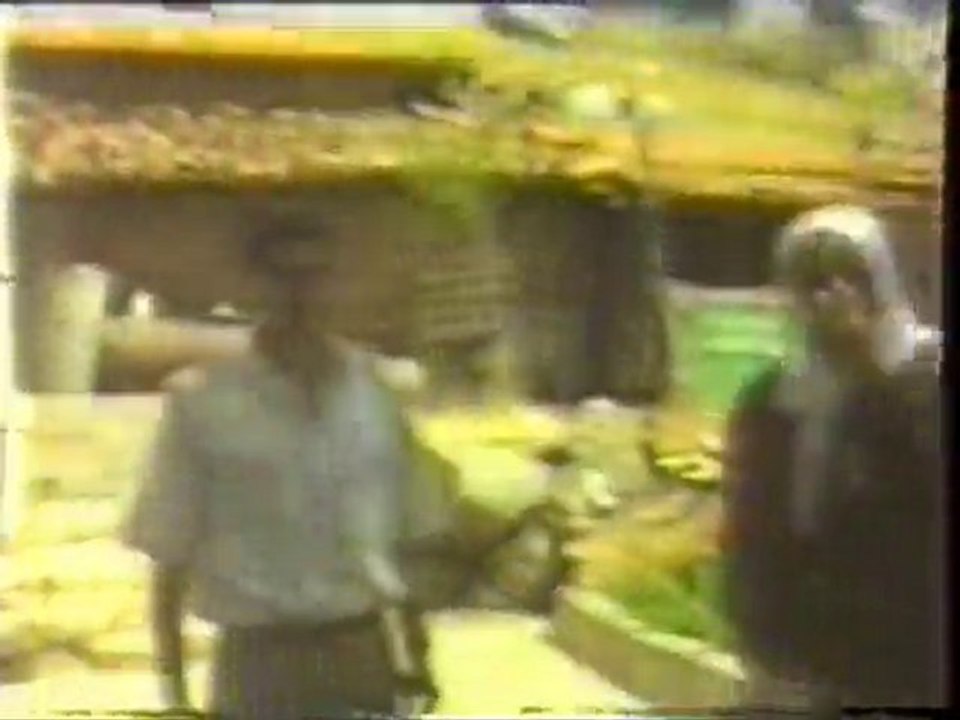 CEVİZLİ 1990 SAYIM 14 BÖLÜM