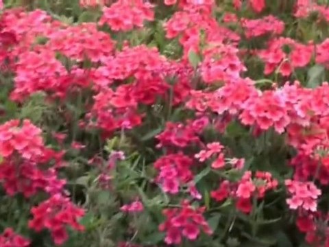 Прогулка по Клайпеде.3-я часть. La promenade sur Klajpede.3