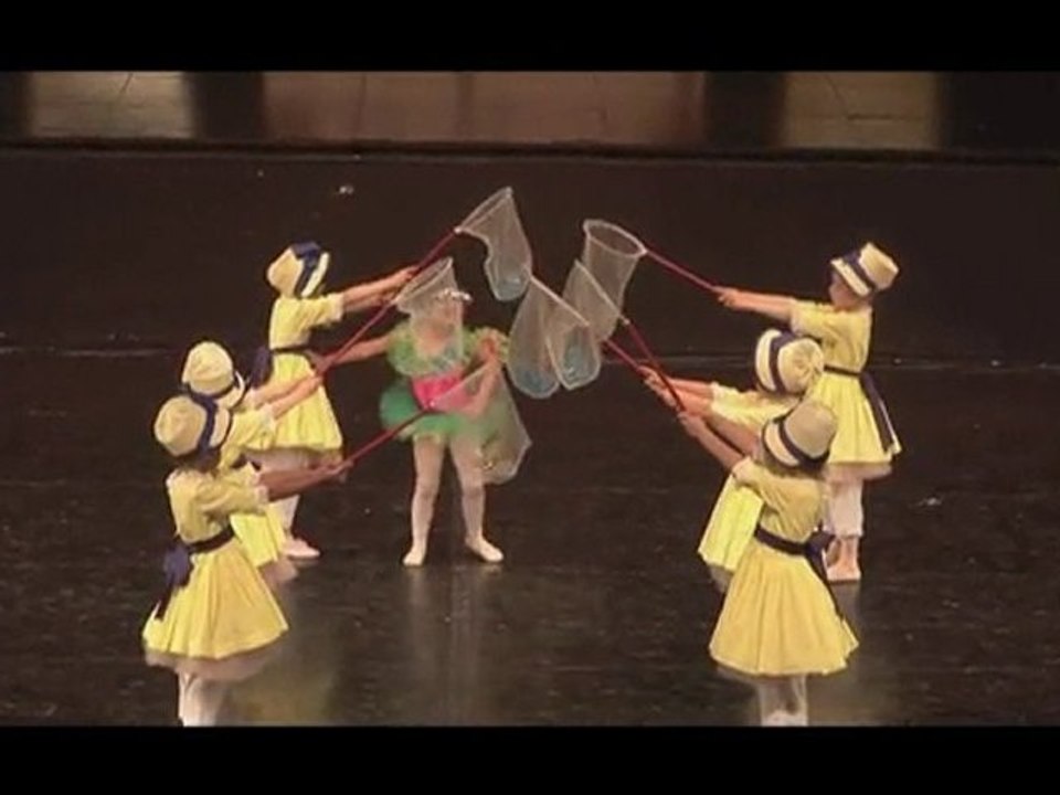 Gala de Danse 2010-La chasse aux papillons