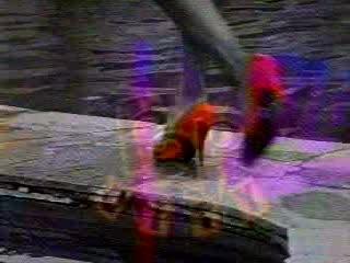 MC Hammer - Pumps in a Bump