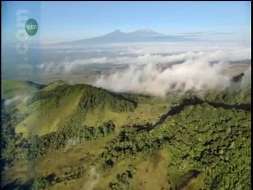 The Natural World Part 1