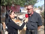 İZMİR ŞOPENGAZİ KÖPEK BARINAĞI-YENİ ASIR TV-ESİN SAYIN