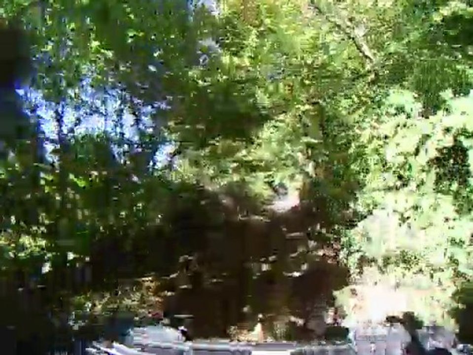 Sortie du 03-10-2010 018